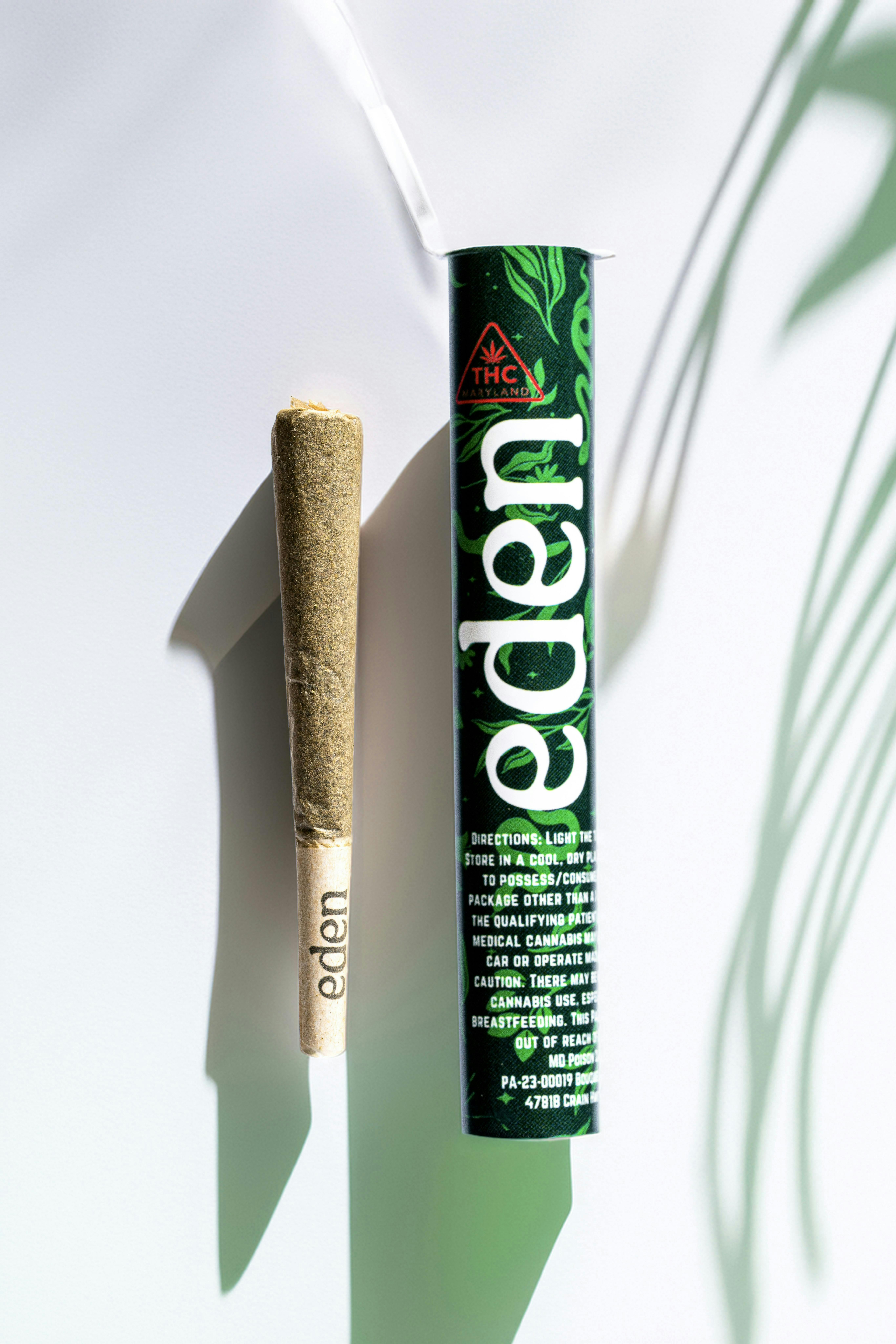 Goo Berry Tree | Infused Joint | 1g