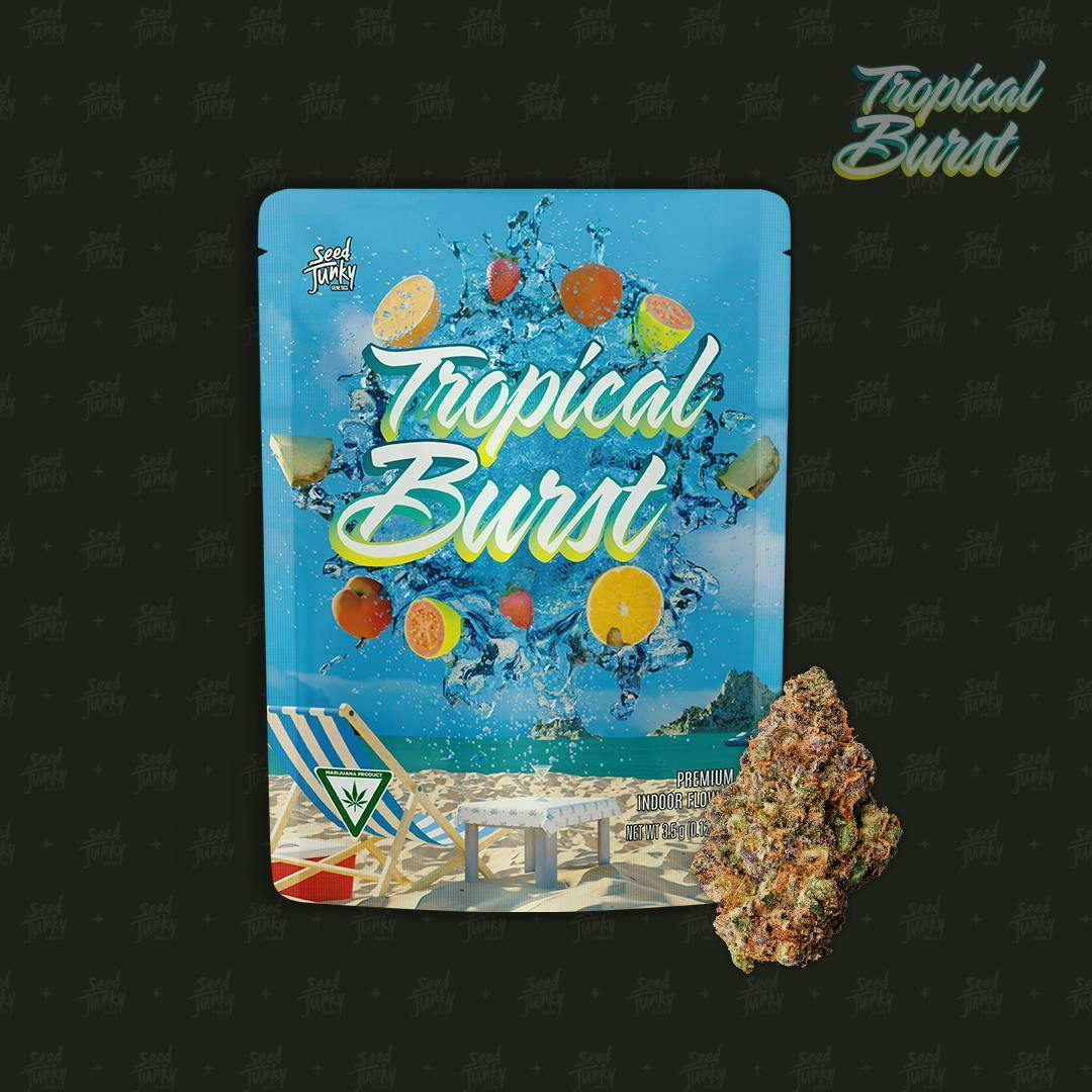 Tropical Burst | Big Buds | 3.5g