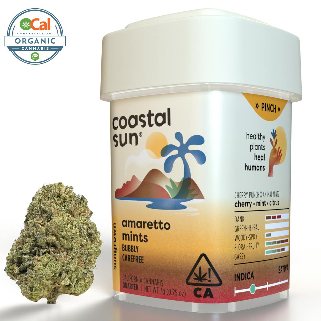 Coastal Sun — Amaretto Mintz