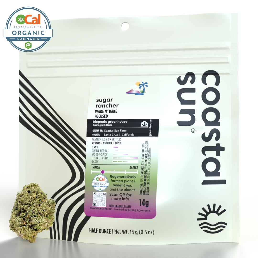 Coastal Sun | Sugar Rancher | Greenhouse Flower | 14g