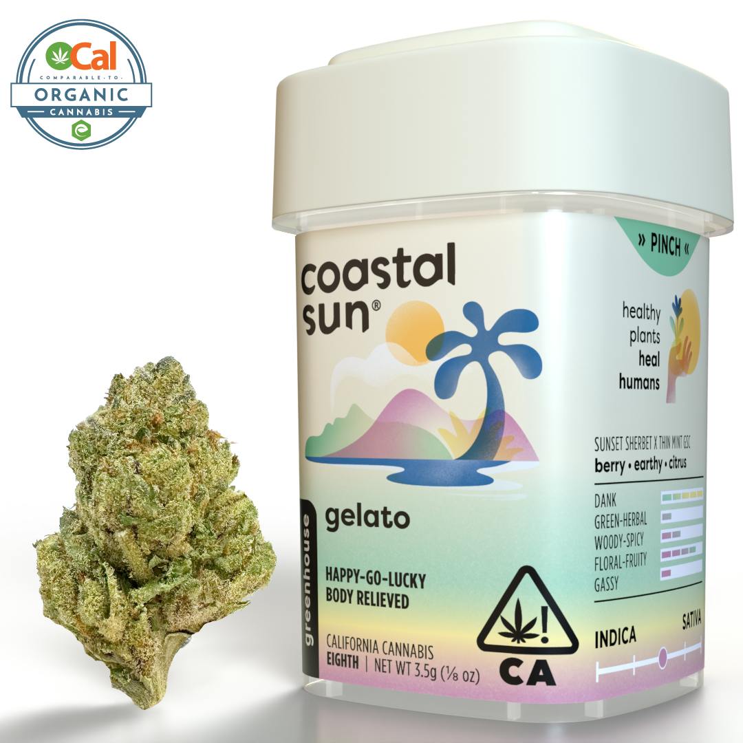 Coastal Sun — Gelato