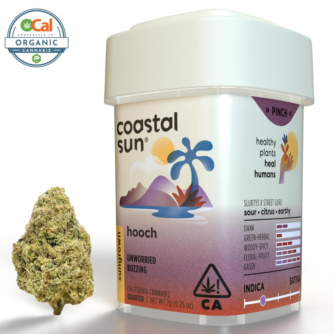 Coastal Sun — Hooch