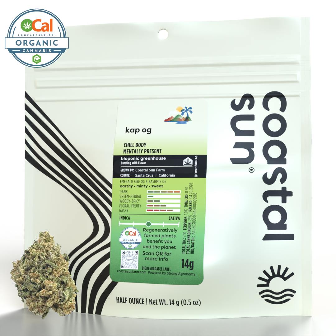Coastal Sun — Kap OG