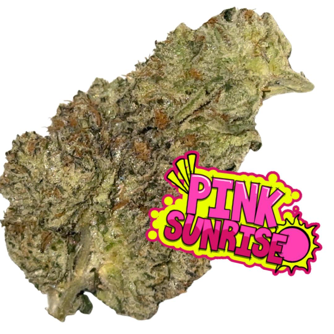 Black Rain | Pink Sunrise | Flower | Big Buds | 3.5g