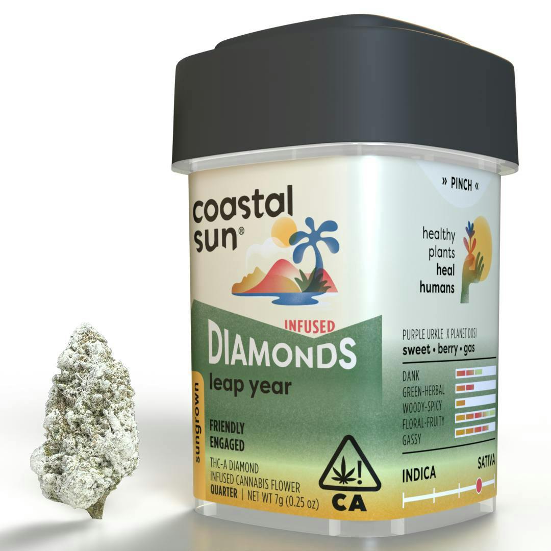Coastal Sun — Leap Year