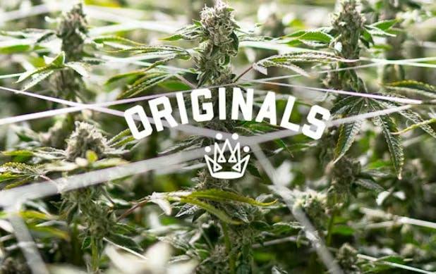 Originals | SFV OG | Joints | 1g each | 3pk