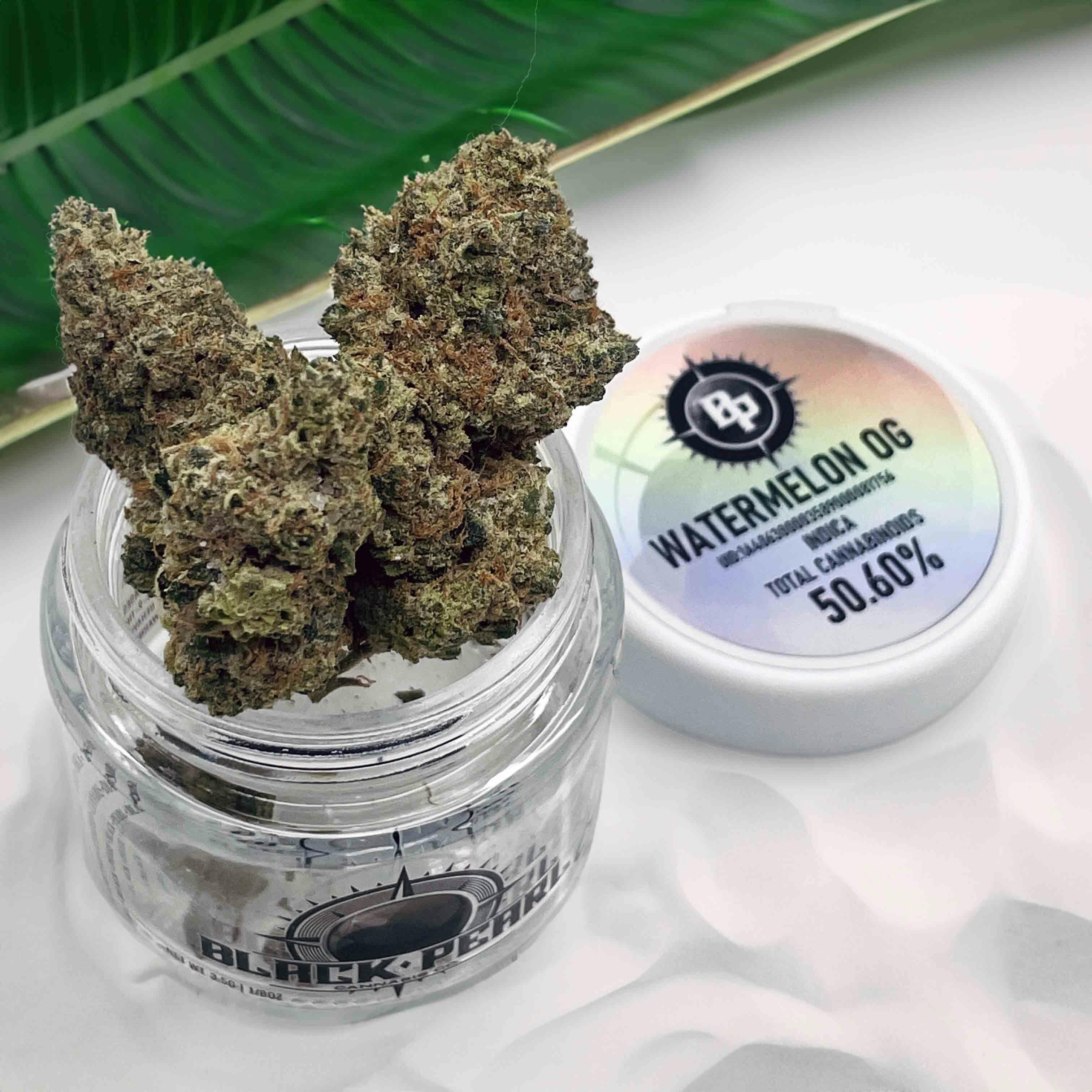 BLACK PEARL - Diamond Coated Indoor - Watermelon OG - 3.5g | 1/8oz