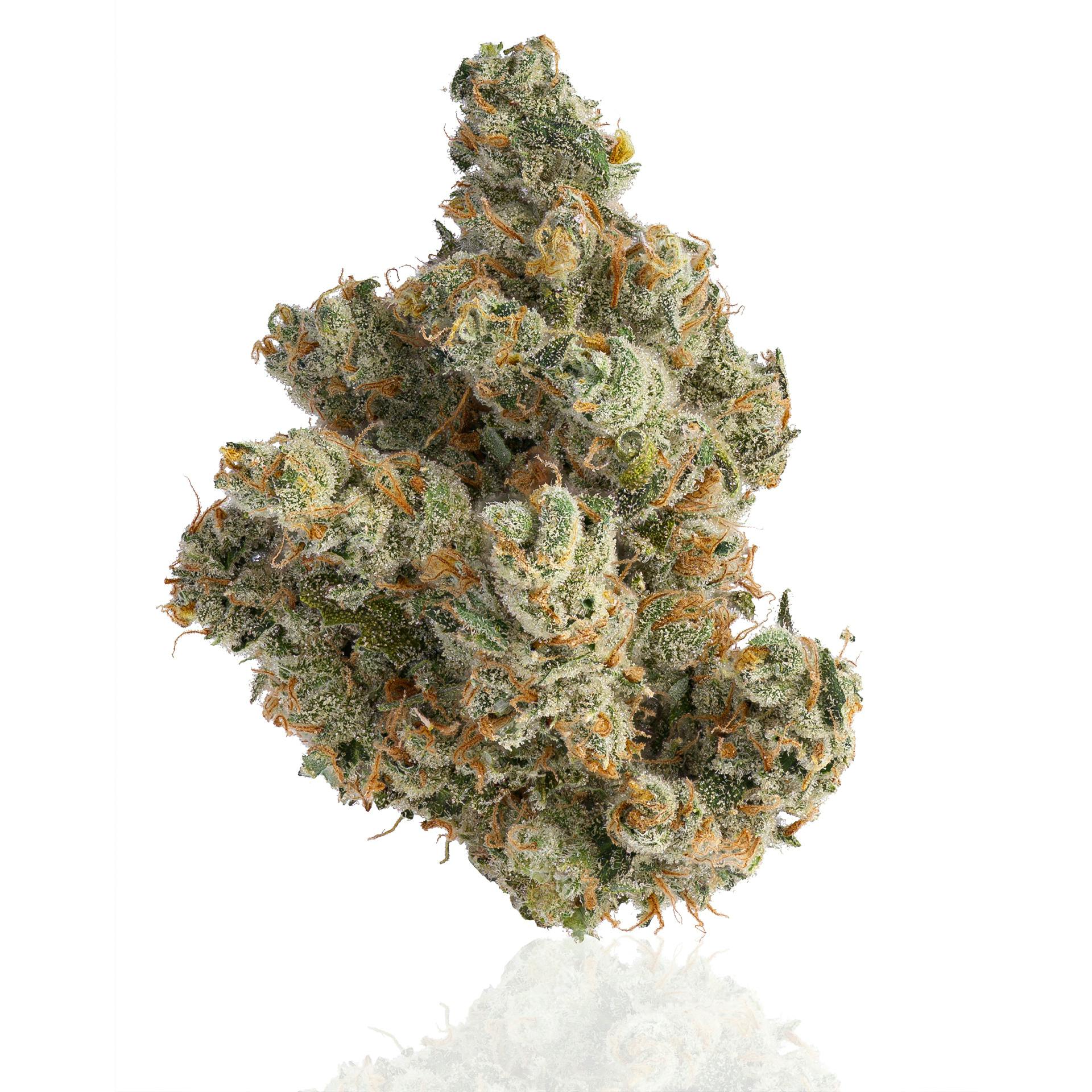 CAM | Jack Herer | Big Buds | 1g by CAM