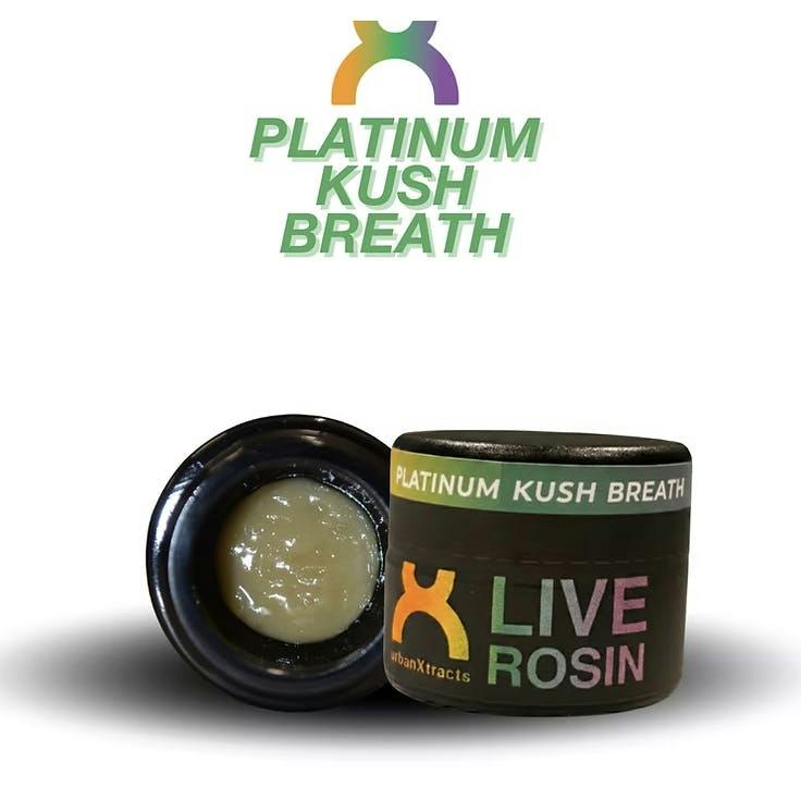 urbanXtracts | Platinum Kush Breath | Cold Cured Live Rosin | 1g by urbanXtracts