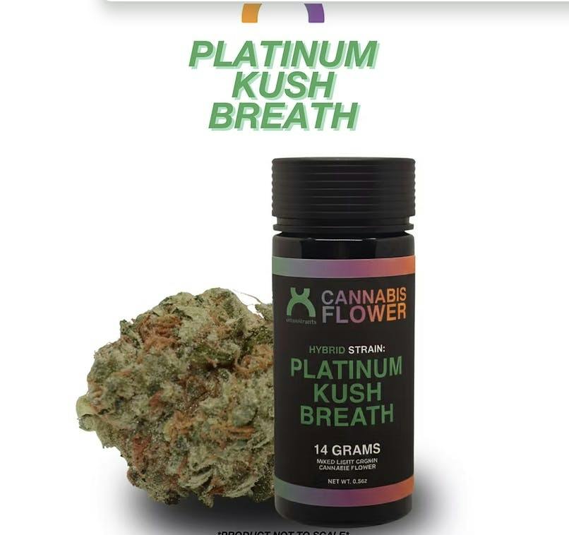 urbanXtracts | Platinum Kush Breath | Big Buds | 14g by urbanXtracts