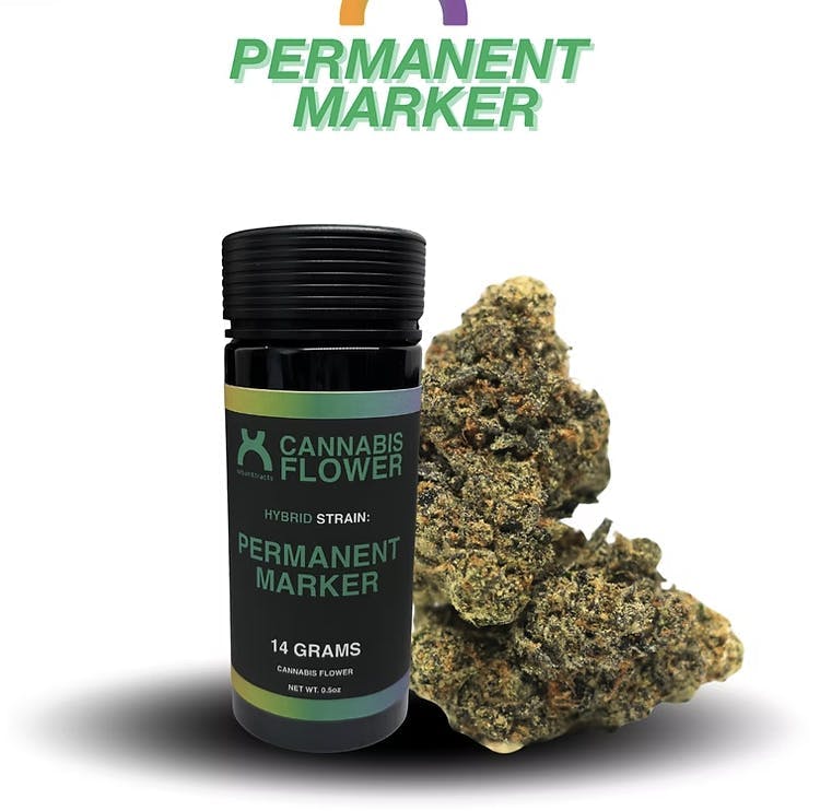 urbanXtracts | Permanent Marker | Big Buds | 14g