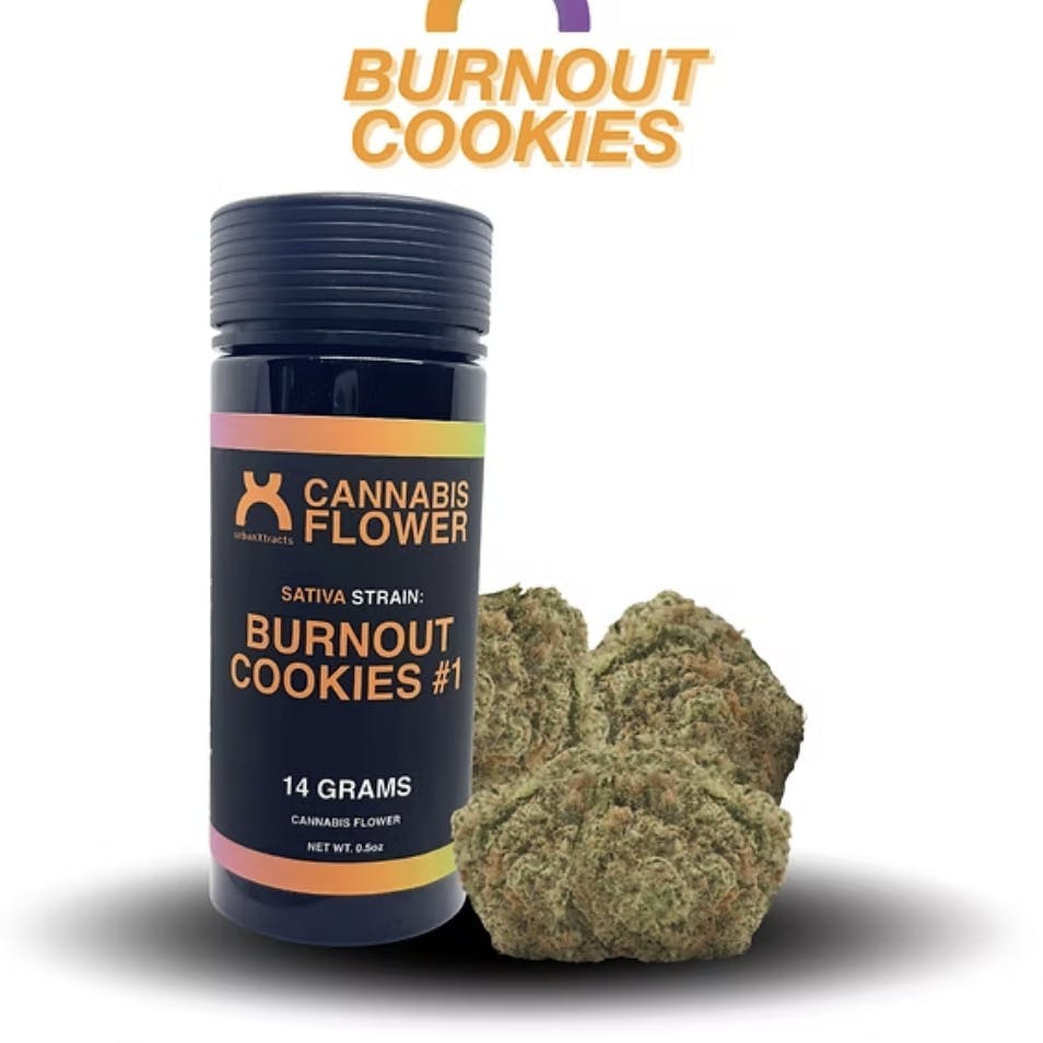 urbanXtracts | Burnout Cookies #1 | Big Buds | 14g