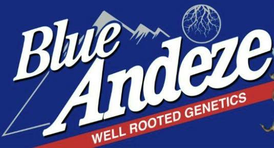 Blue Andeze | Live Hash Rosin | 1g