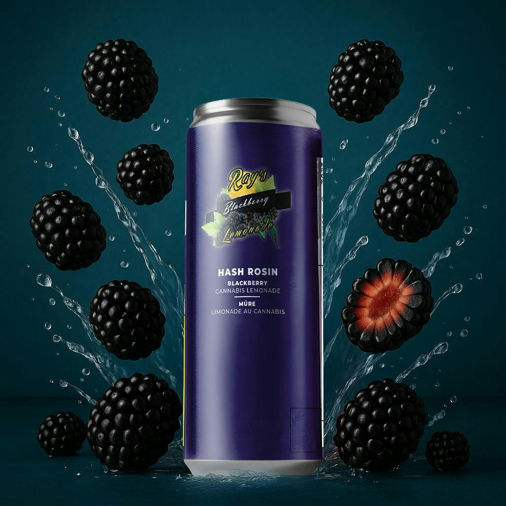 Ray's Lemonade | Blackberry | Carbonated | THC:CBG 10:10mg | 12 fl oz by Ray's Lemonade