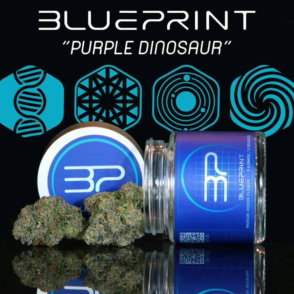 Blueprint | Purple Dino | Big Buds | 3.5g