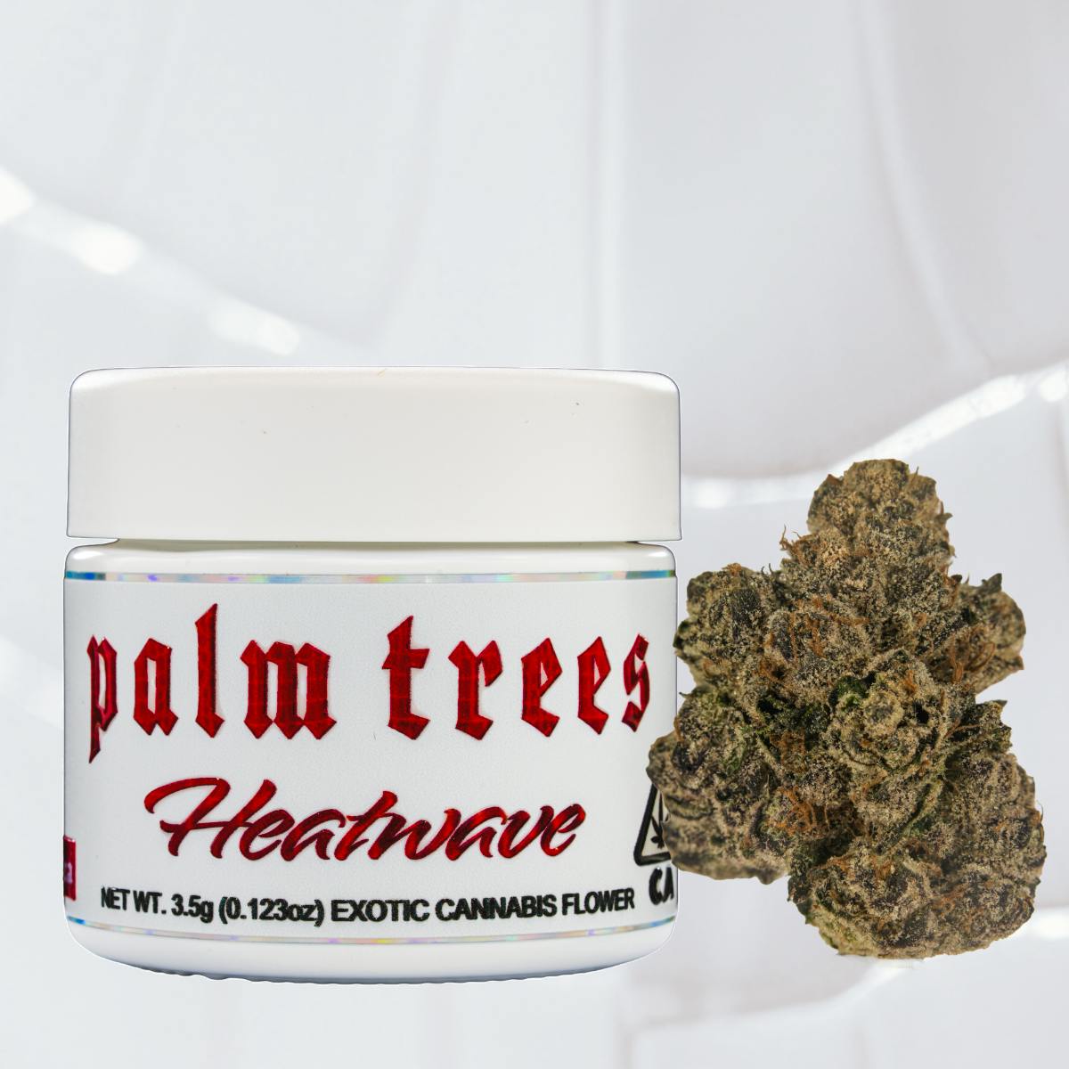 Palm Trees: Heatwave - Exotic