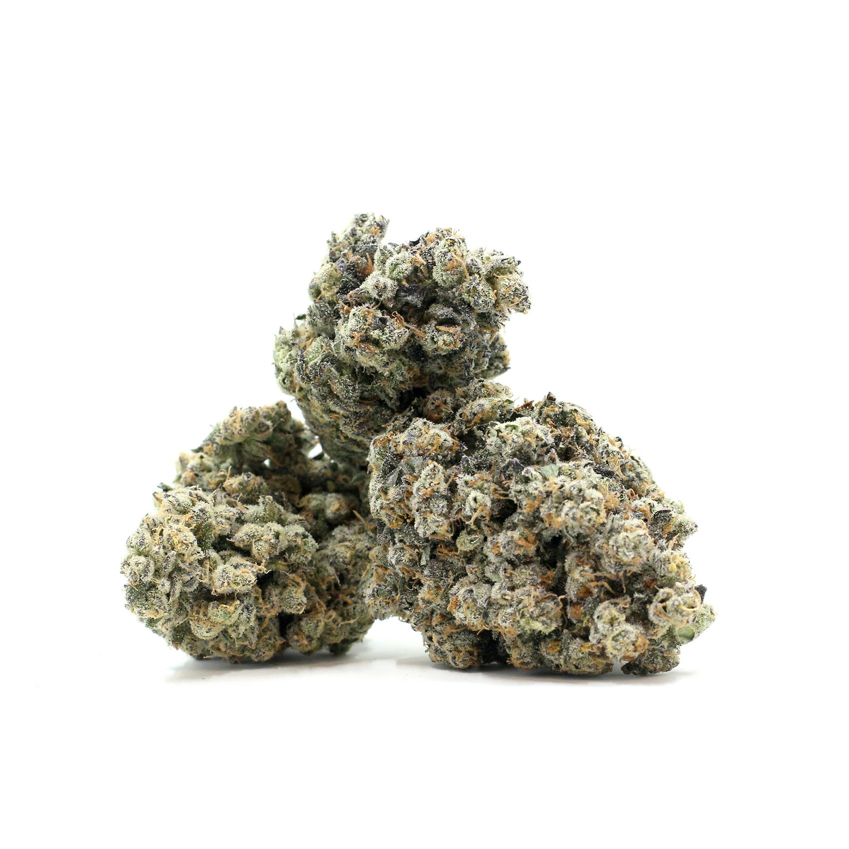 Blueberry Diesel Big Buds