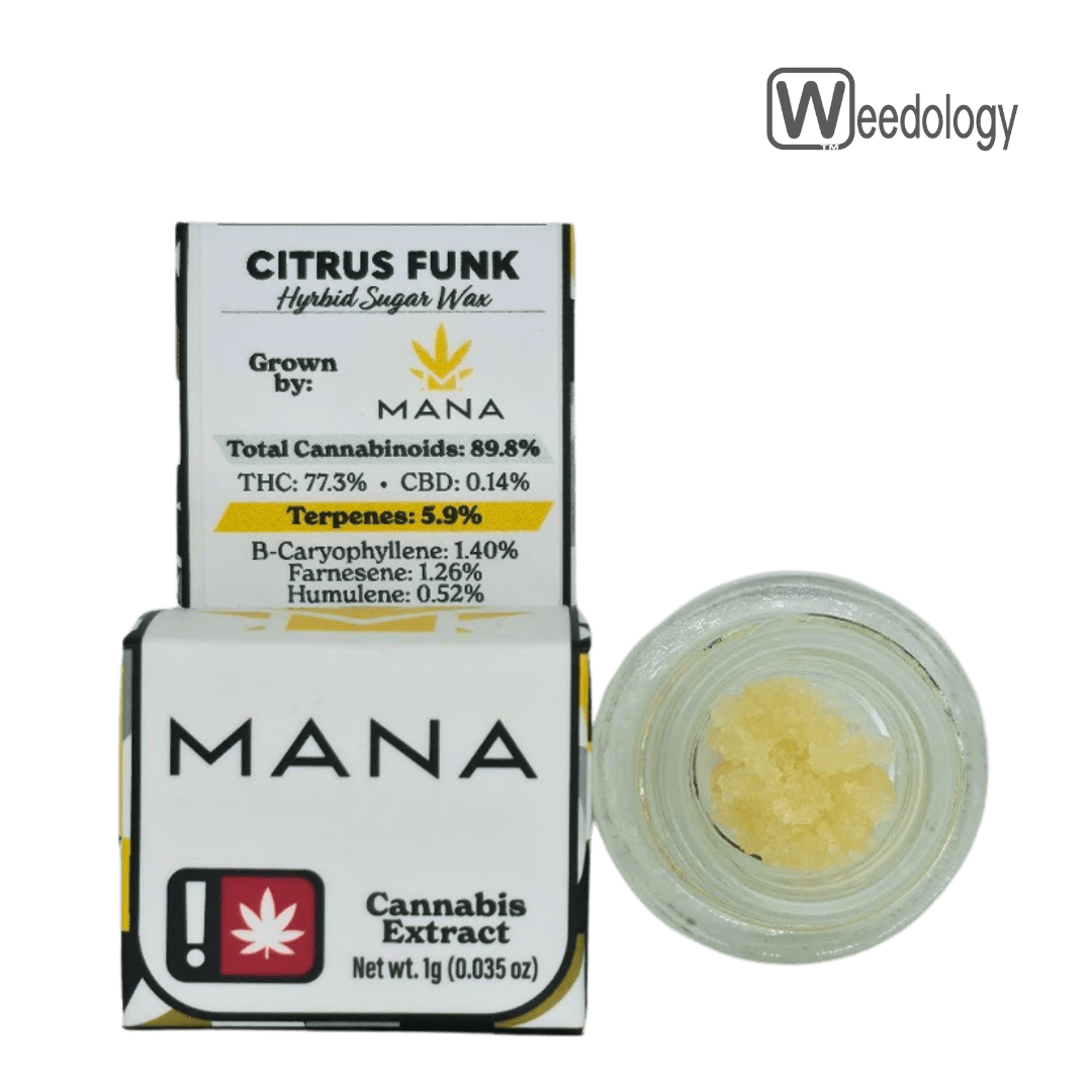 Citrus Funk | Solvent | Sugar | 1g at The Bud House