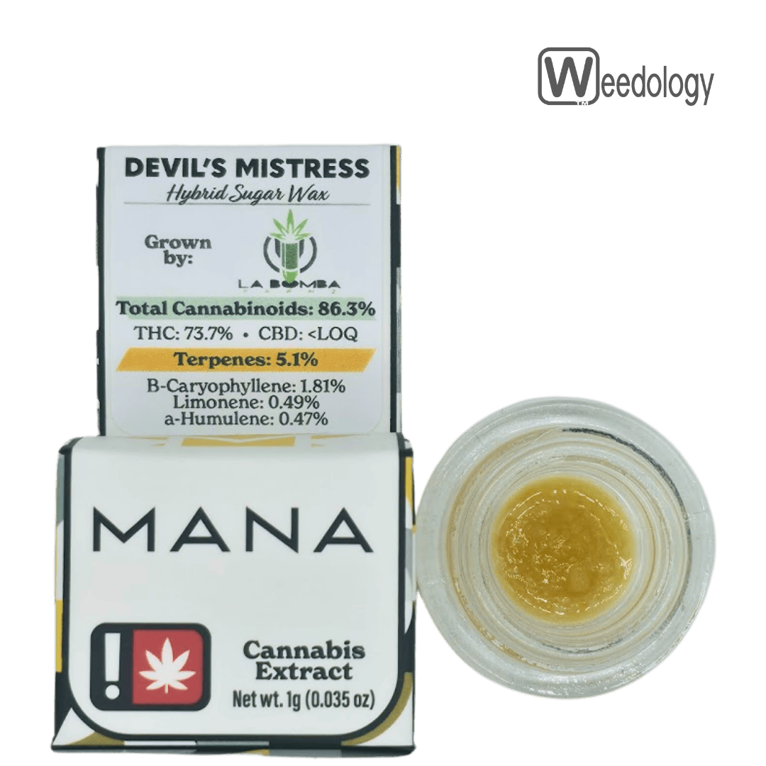 Devils Mistress | Solvent | Sugar | 1g at The Bud House