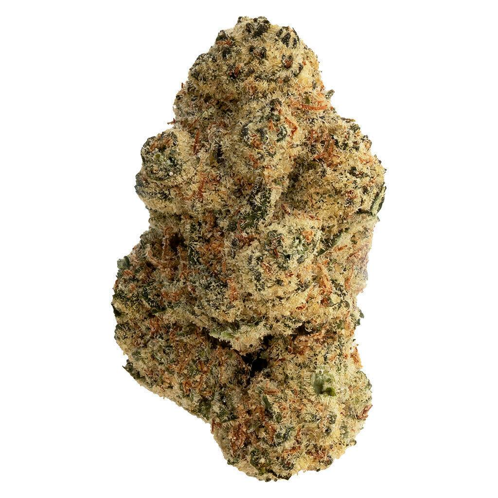 Punk Hazard | Big Buds | 7g