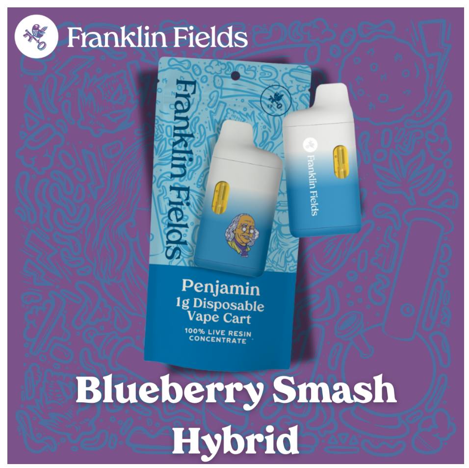 Franklin Fields Penjamin Blueberry Smash 1G Live Resin Disposable Vape