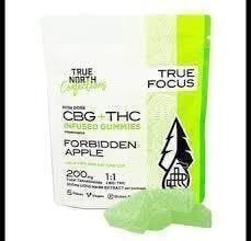 True North | Forbidden Apple 1:1 CBG:THC Gummies | 100mg | 5ct | 20mg/ea by True North Collective MI