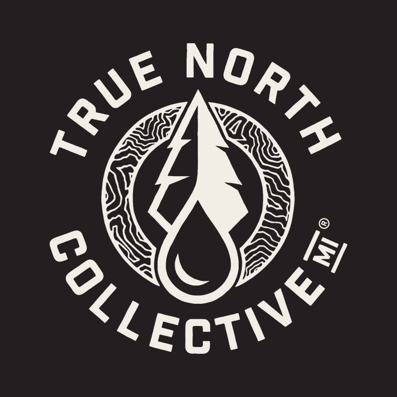 True North Collective | Neon Drizzle | Live Sugar Sauce Disposable | 1g by True North Collective MI