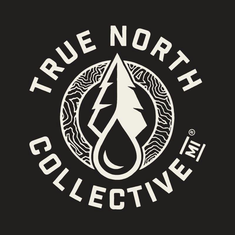 True North x WOJO | Lemon Skunk Rosin Gummies | 200mg | 4ct | 50mg/ea by True North Collective MI