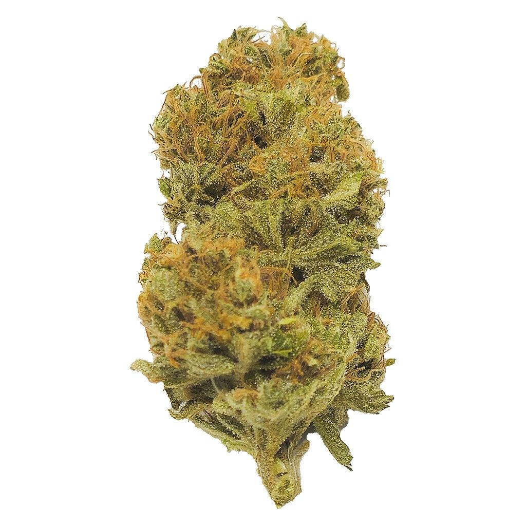Durban Poison | Big Buds | 7g