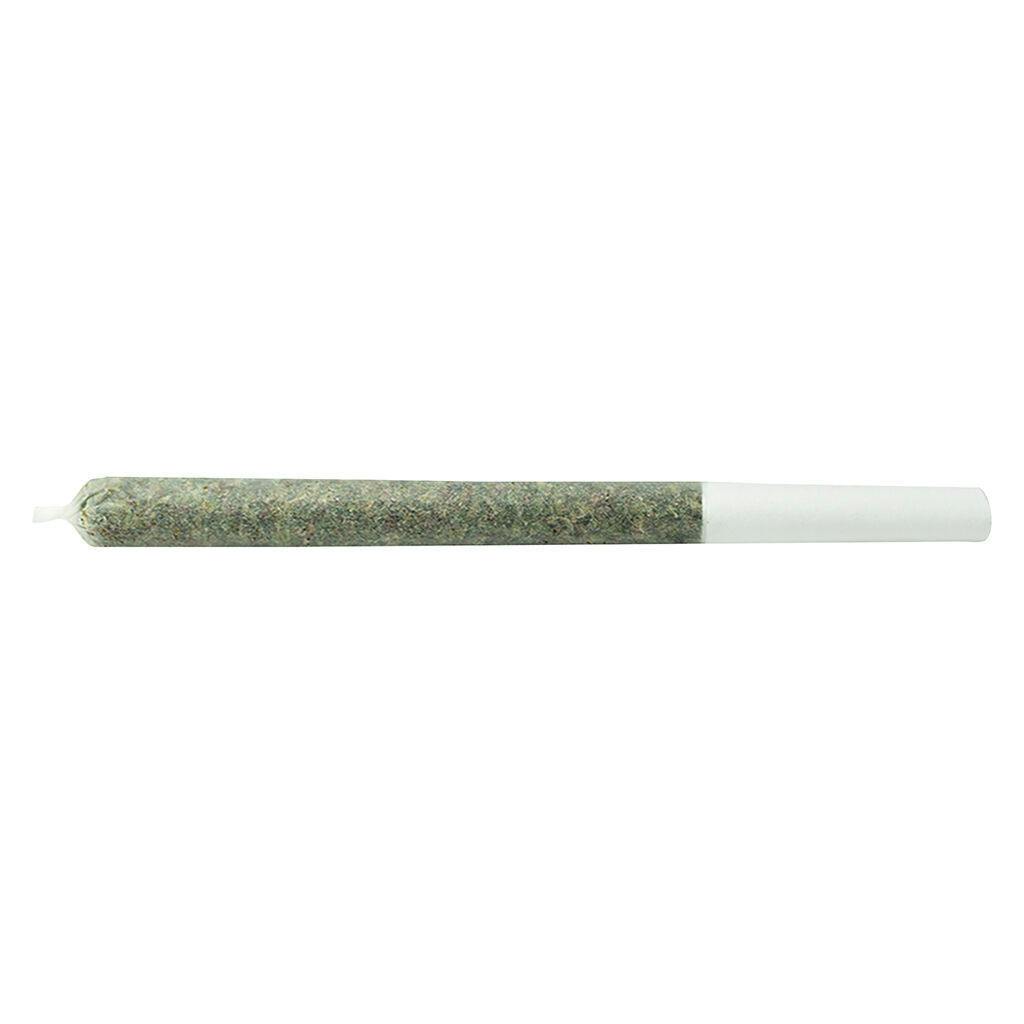 the jeffrey | Minis | 0.35g | 10pk