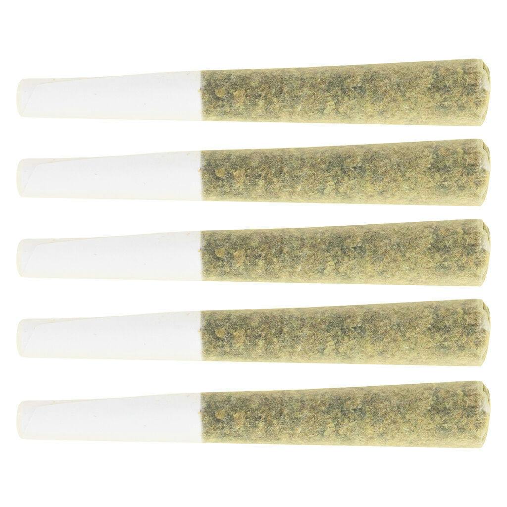 shot caller | Minis | 0.5g | 5pk