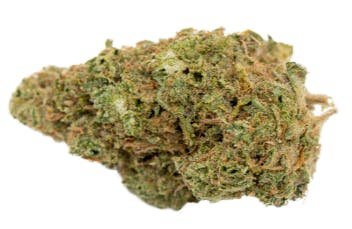 Dragon Cookies | Big Buds | 3.5g