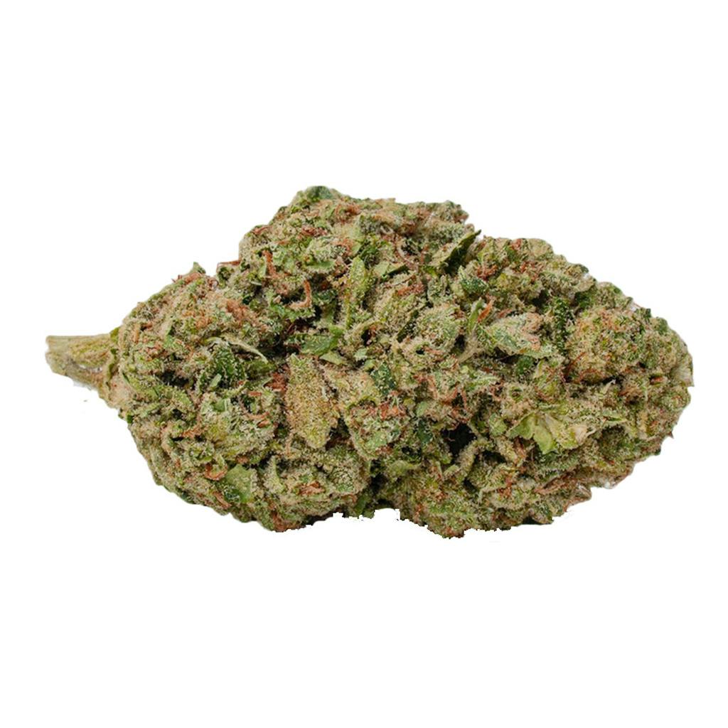 Biscotti Amnesia | Big Buds | 3.5g