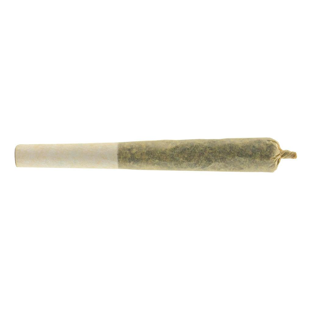 Ghost Train Haze | Infused Minis | 0.5g