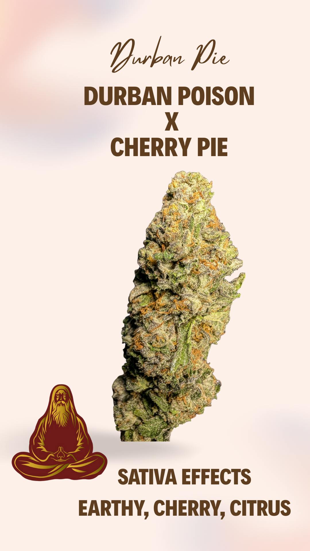 Durban Pie | Big Buds | 3.5g