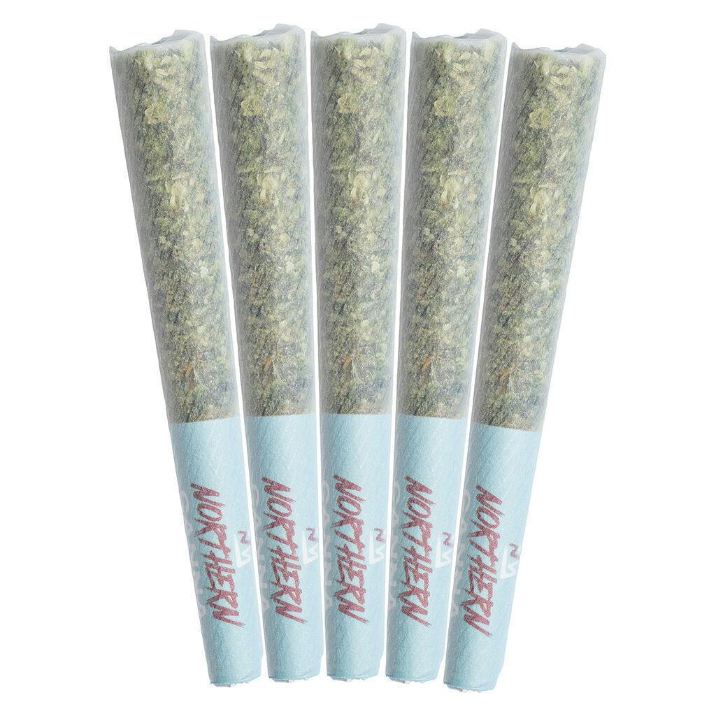 The Collective | Infused Minis | 0.5g | 5pk