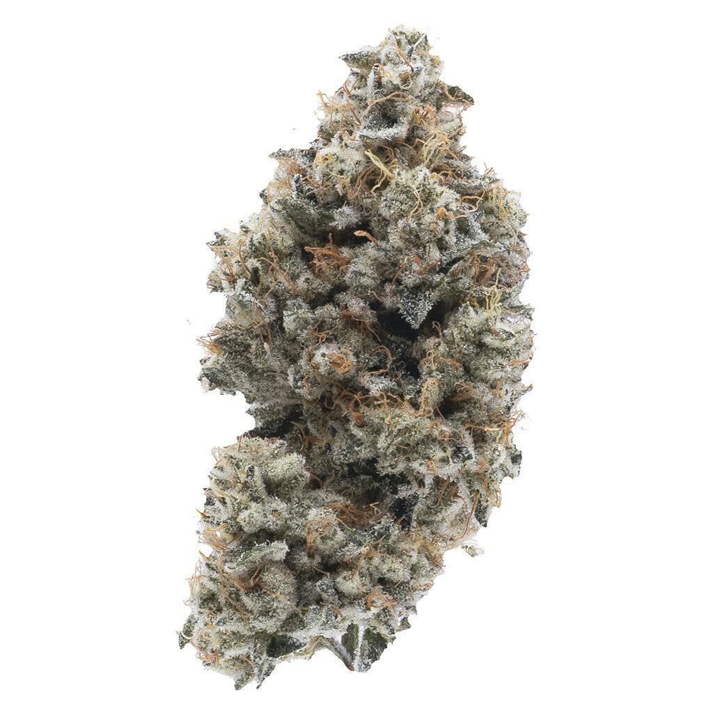 Frosted Guava Nuts | Infused Flower | 3.5g