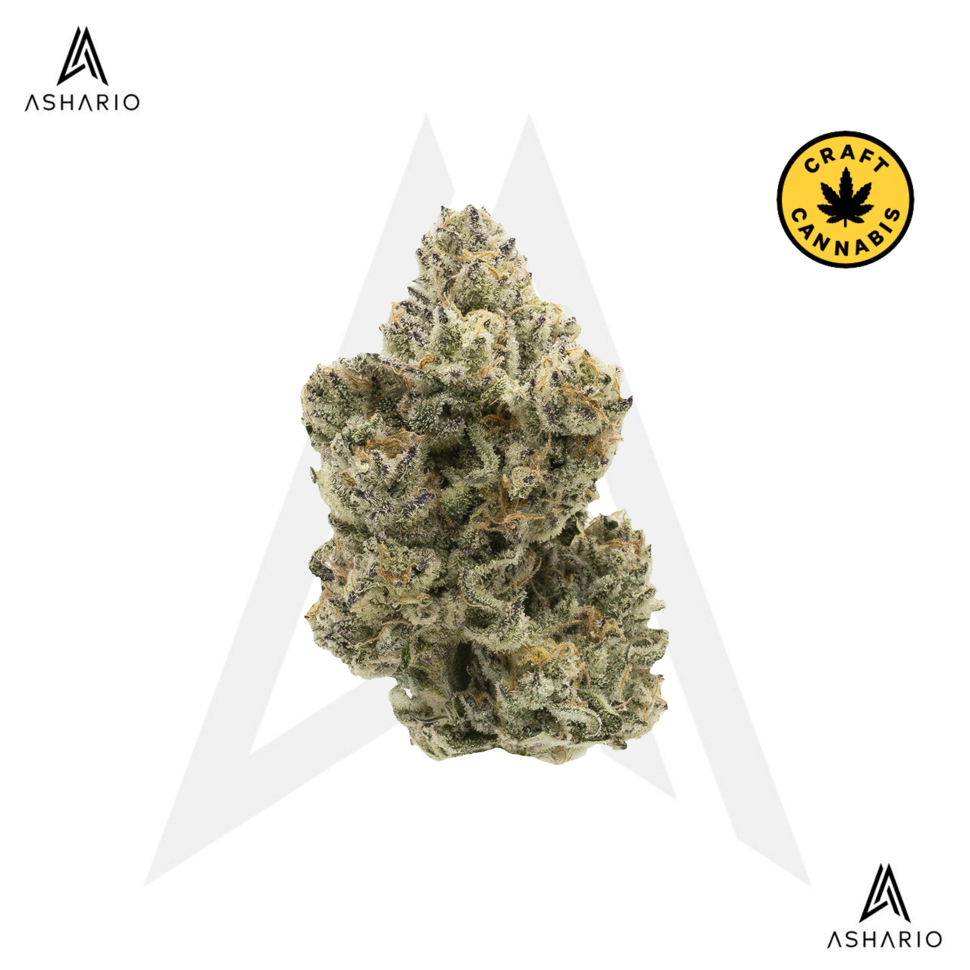 Pineapple Bang | Big Buds | 14g