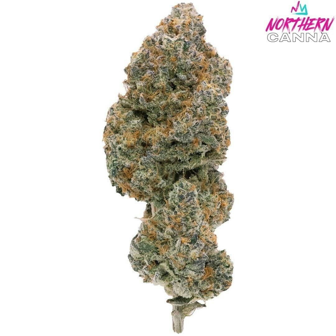 Modified Supersonic | Big Buds | 7g