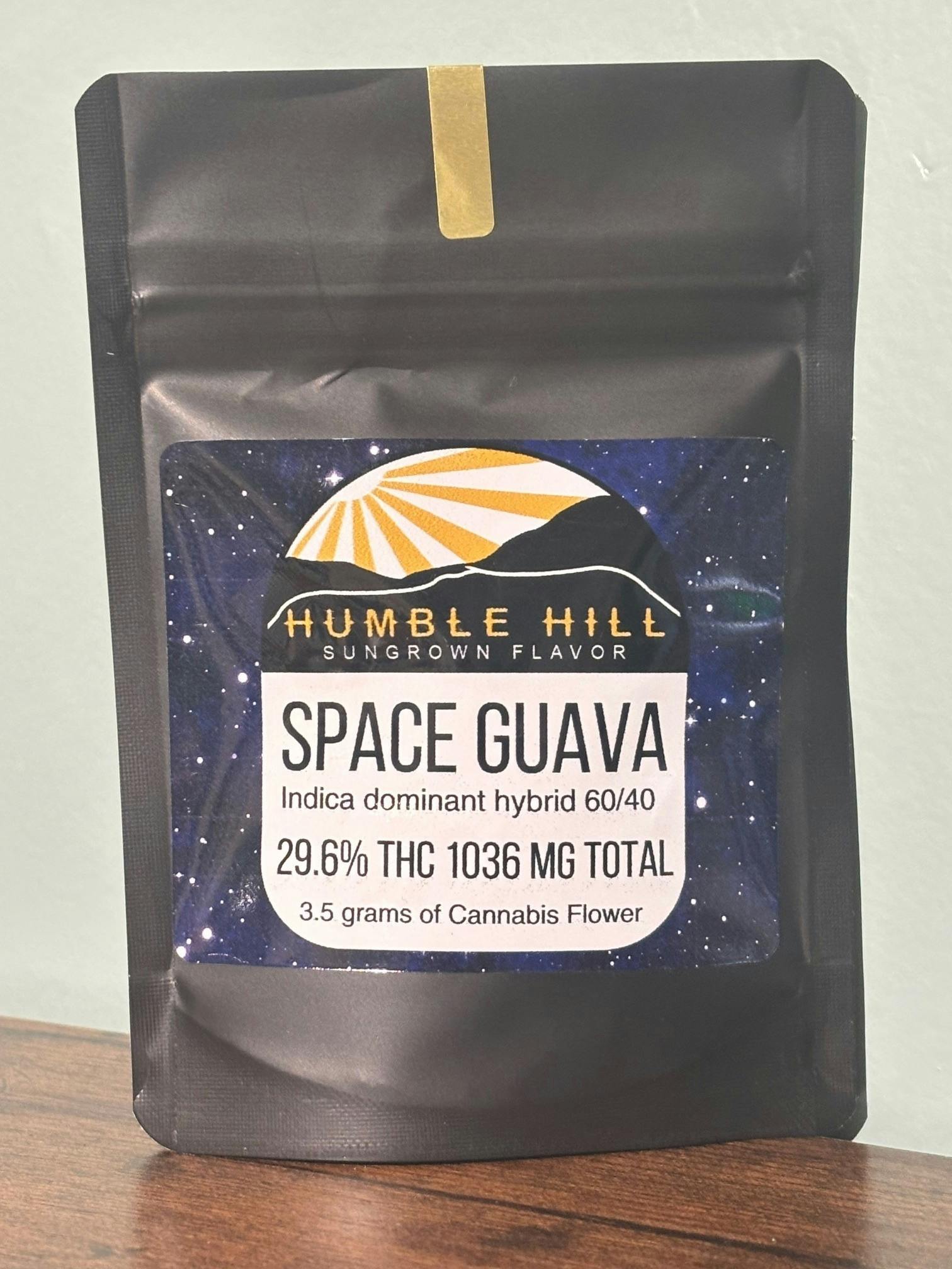 Space Guava | Big Buds | 3.5g