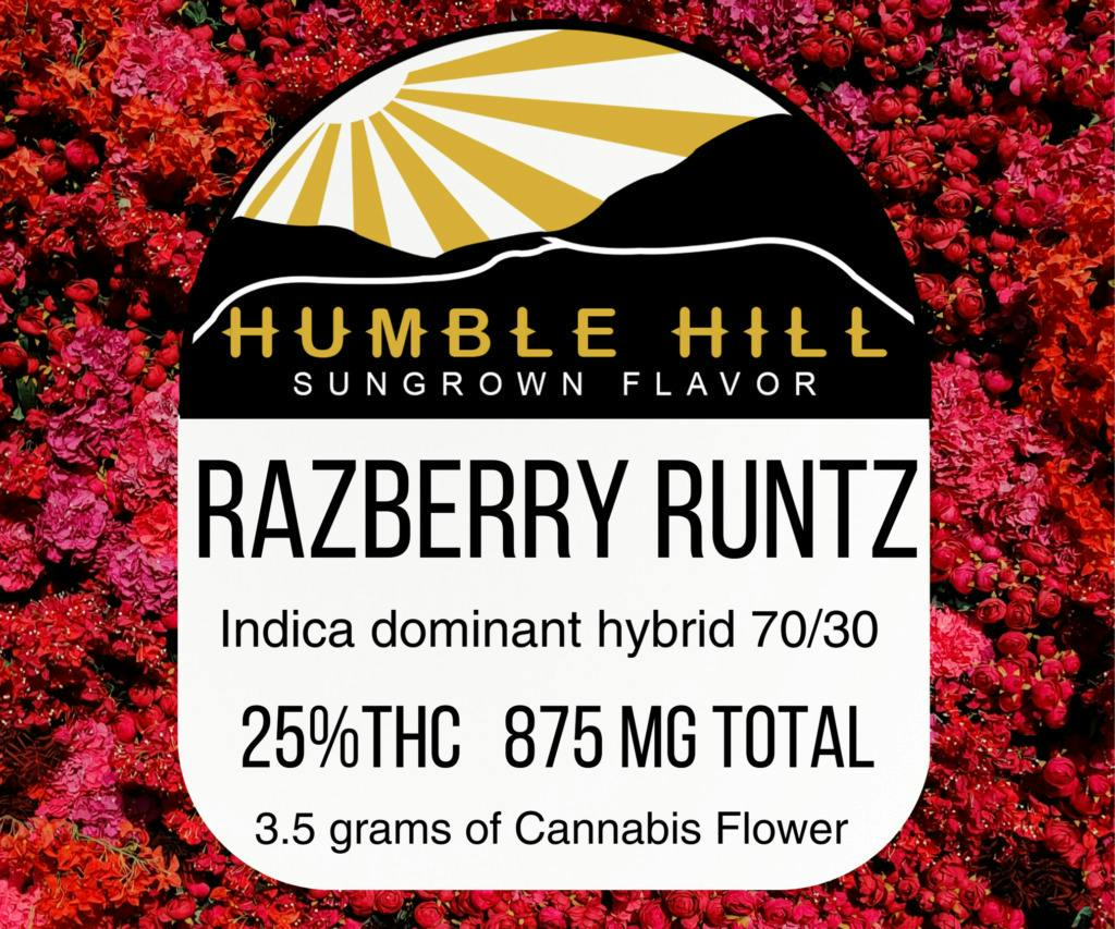 Razberry Runtz | Big Buds | 3.5g