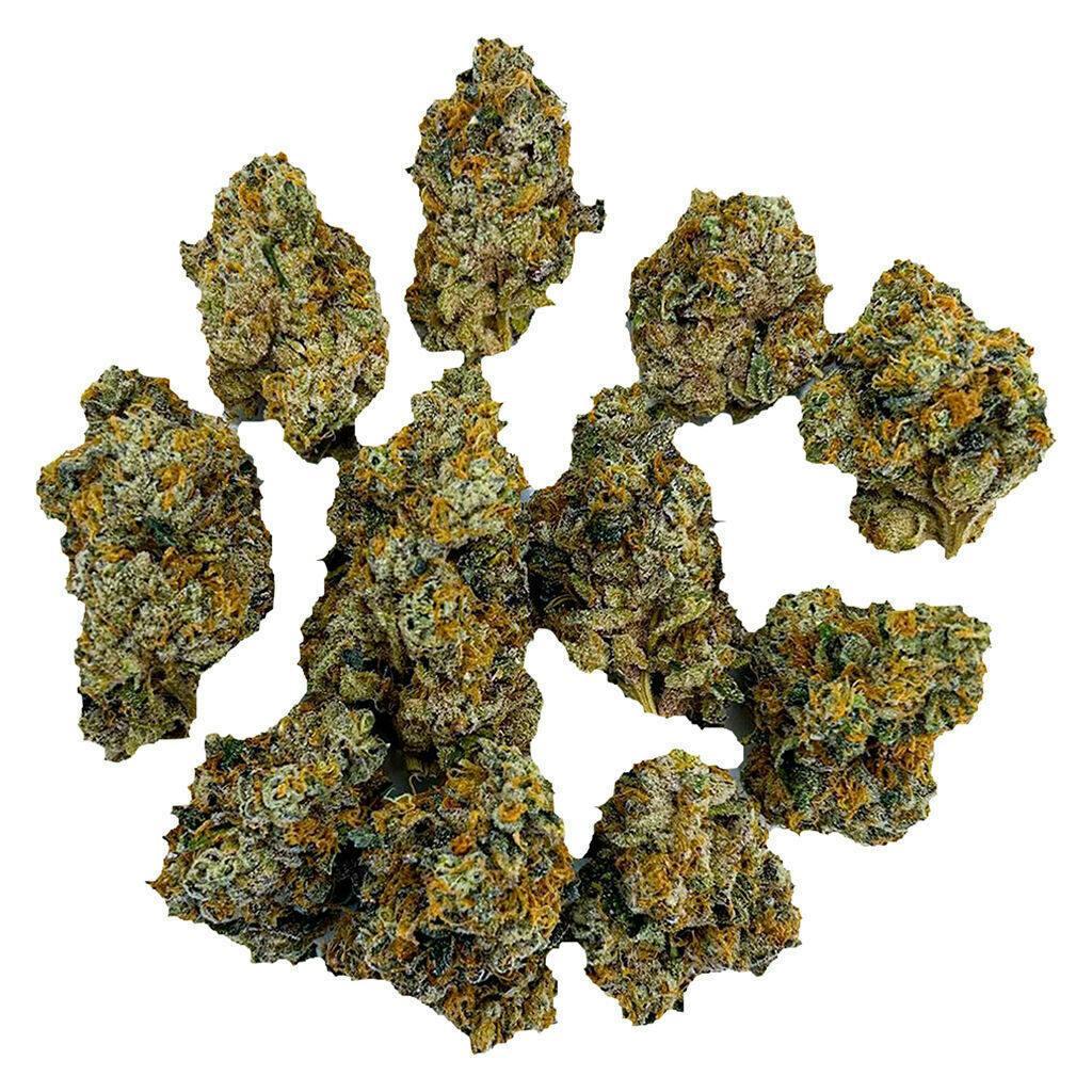 G.A.S. | 28g