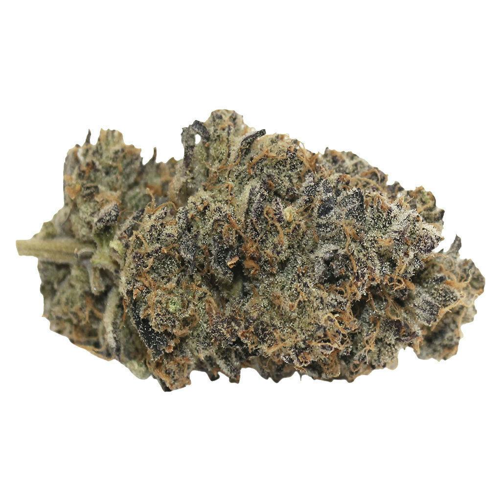 Violet Gushers | Big Buds | 3.5g