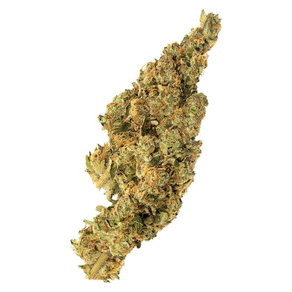 Haze | Big Buds | 7g