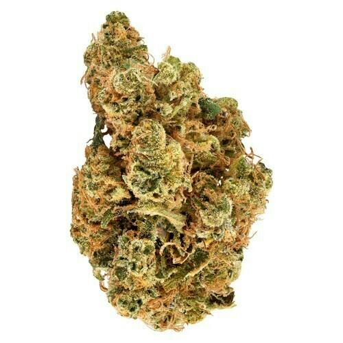 GMO X | Big Buds | 28g