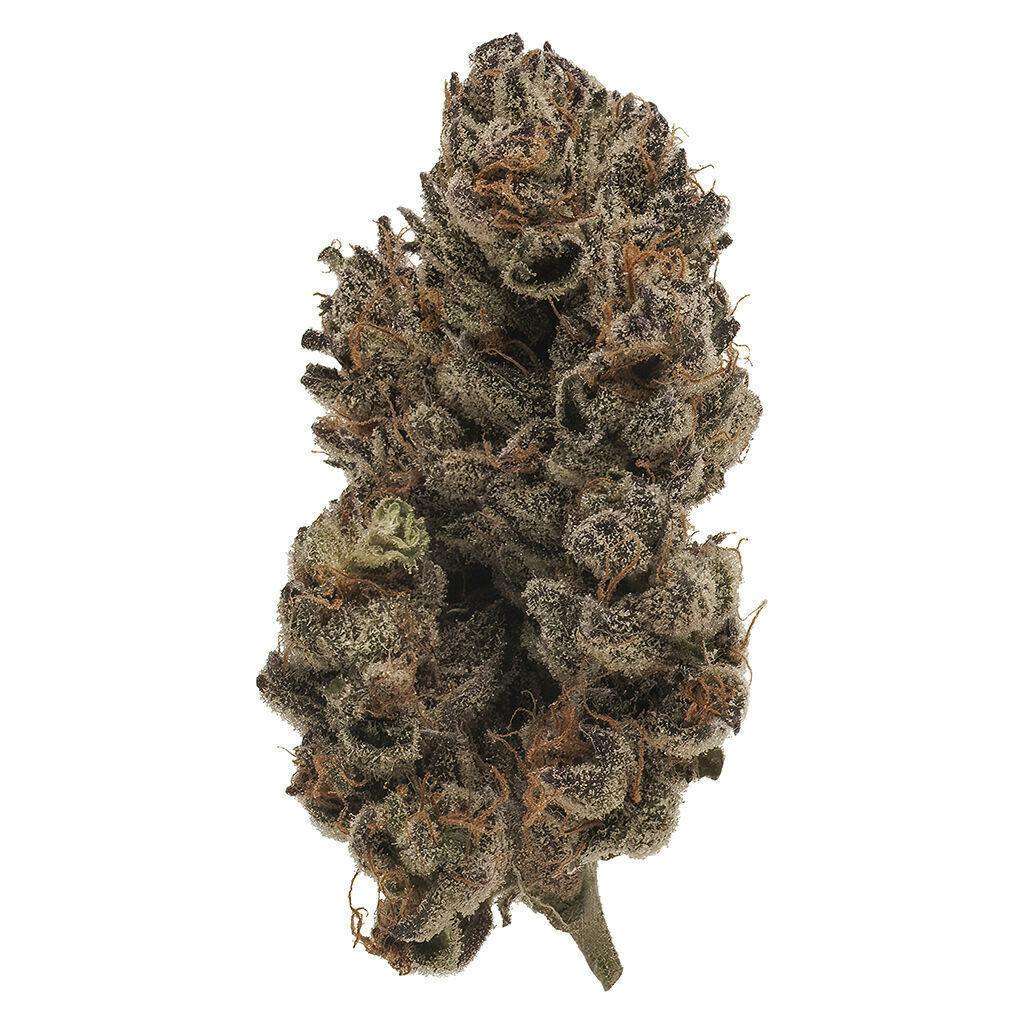 Jealous Wedding | Big Buds | 3.5g