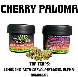 Cherry Paloma | Big Buds | 3.5g