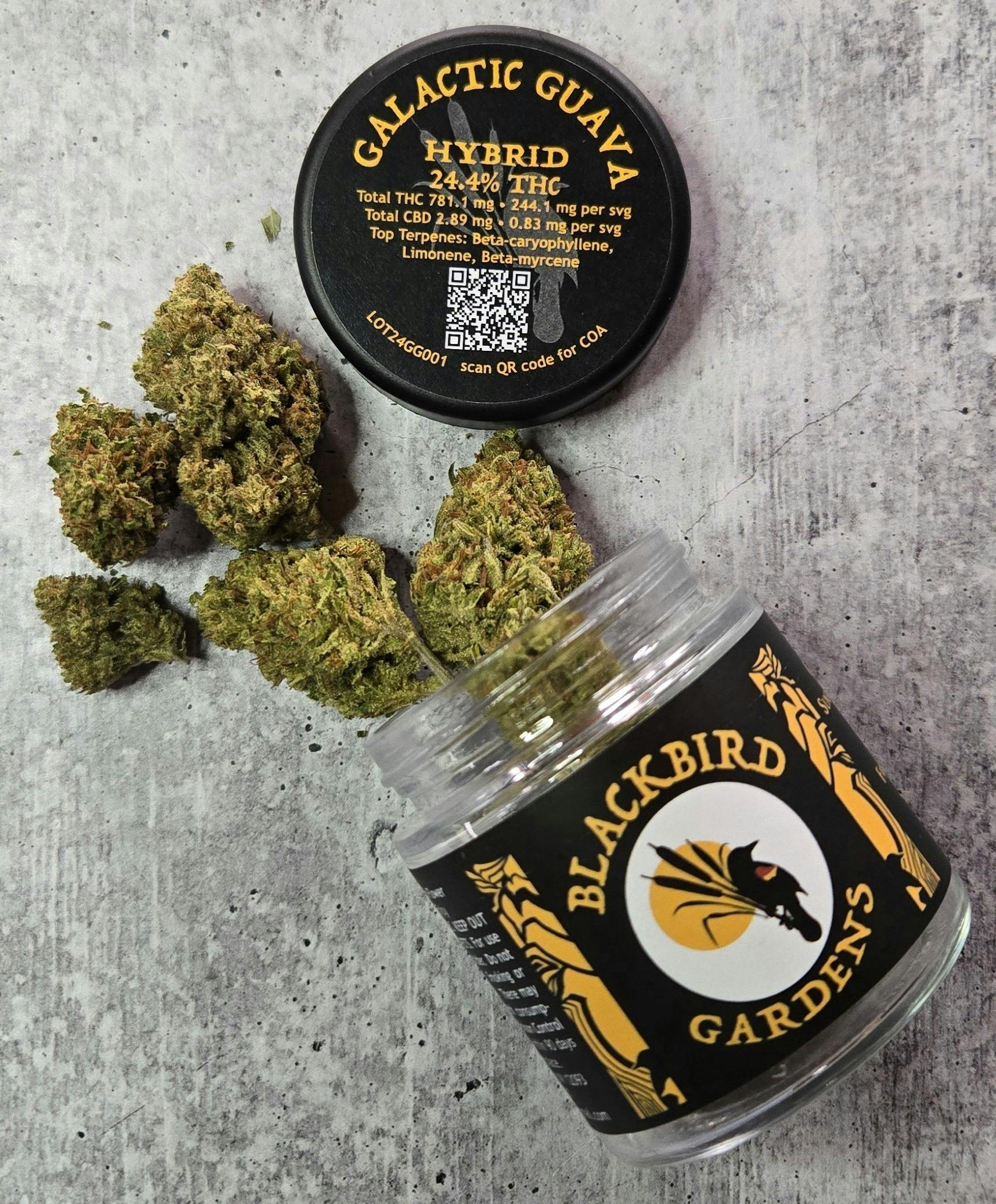 Galactic Guava | Big Buds | 3.5g