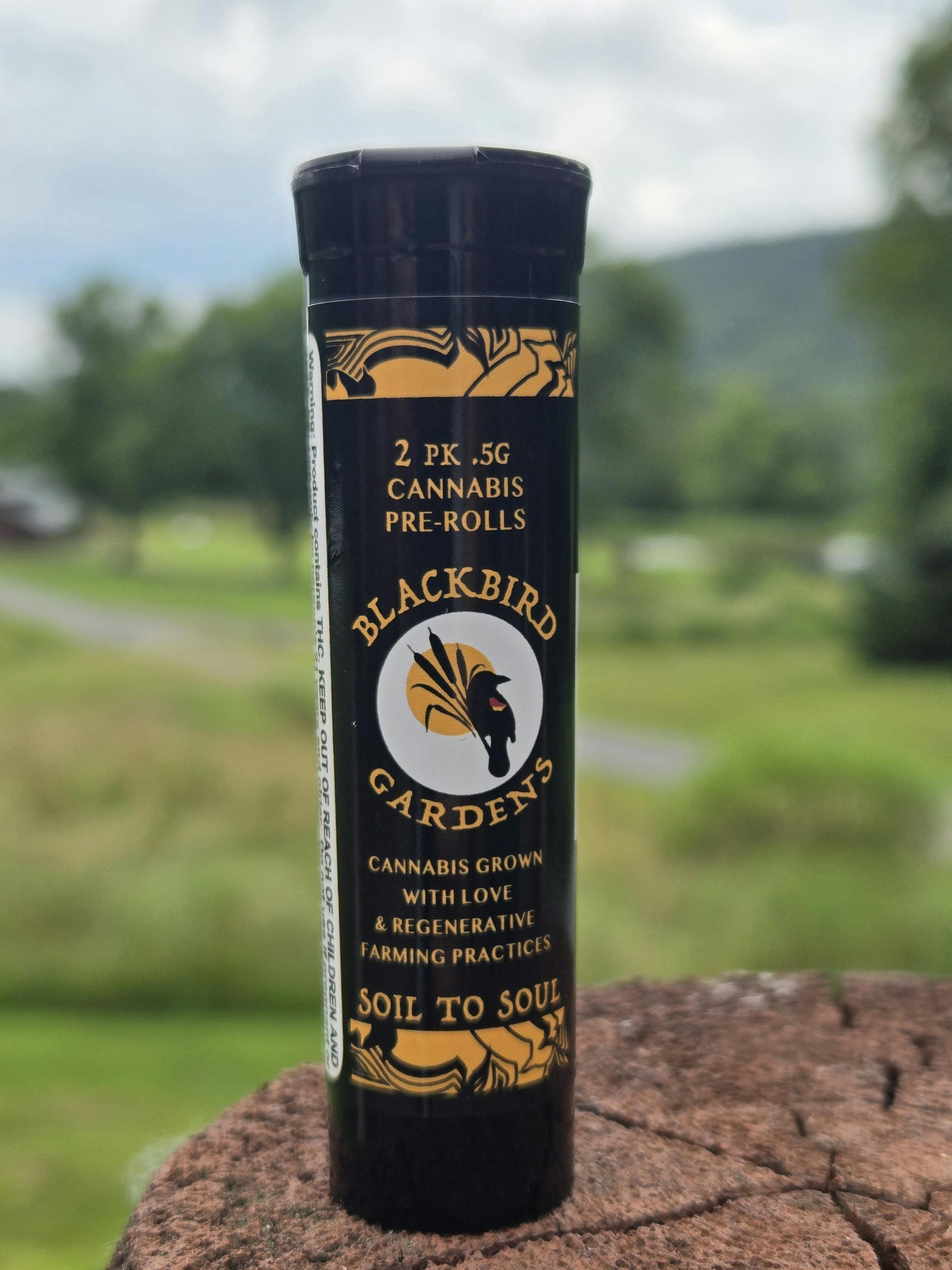 Galactic Guava | Joints | 0.5g | 2pk at Herbal Woodstock