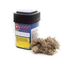 Dosi-GMOsi #6 | Big Buds